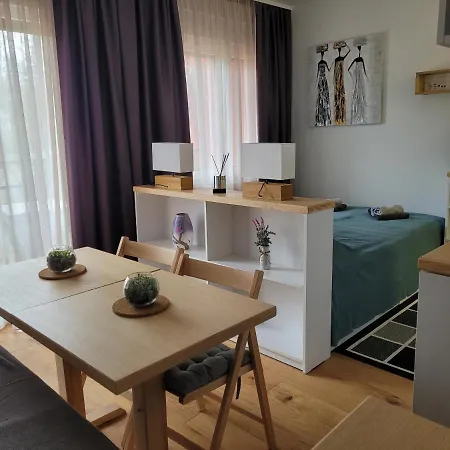 Ruza Apartment